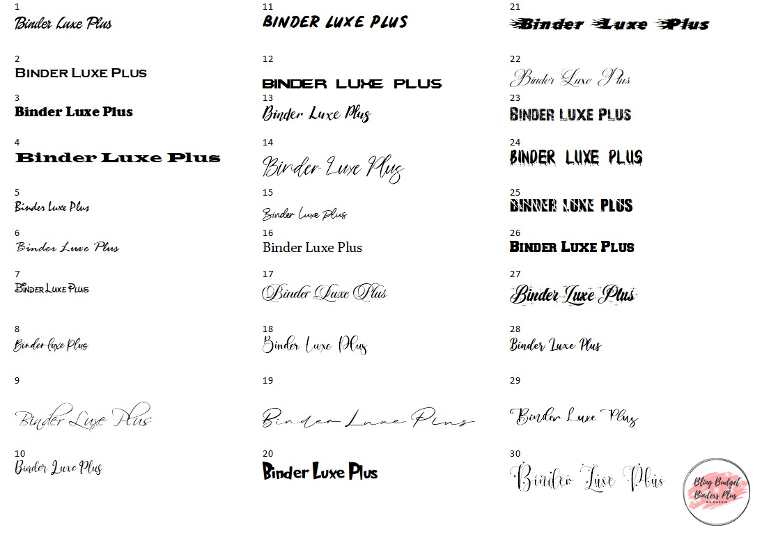 The Diva Budget Binder Package with PVC Envelopes - A6