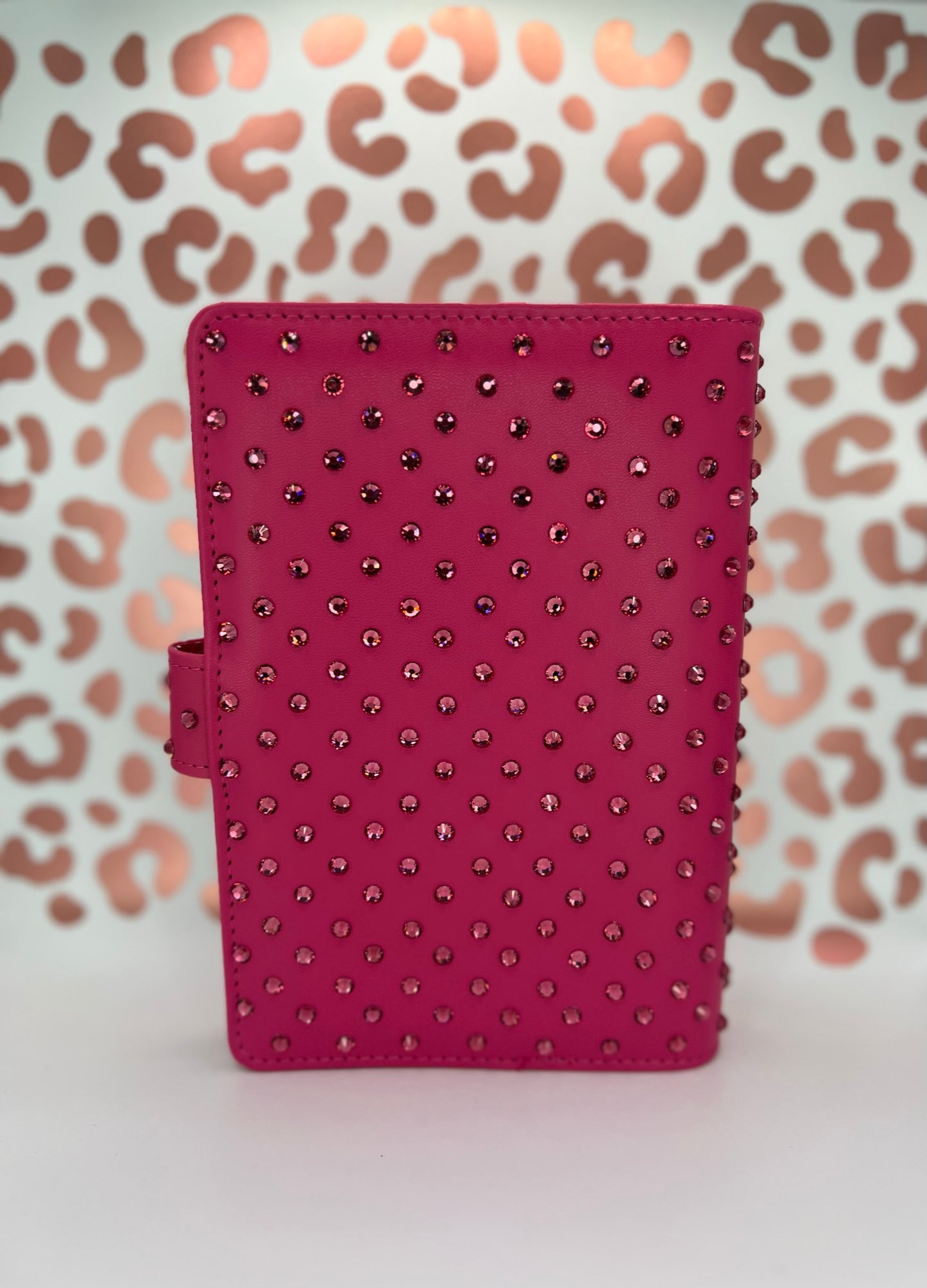 Crystal Scattered in Fuchsia Budget Binder Package with PVC Envelopes - A6