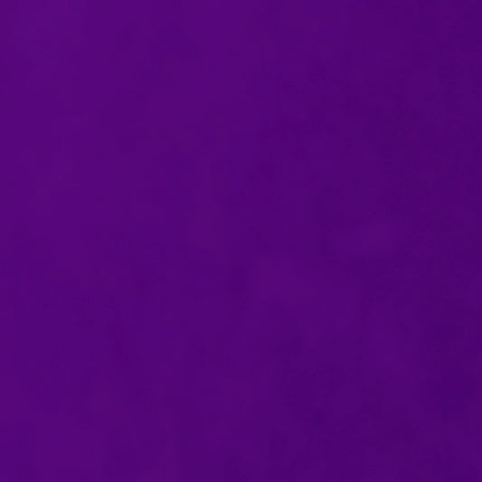 The Panther Budget Binder Package with PVC Envelopes - A6